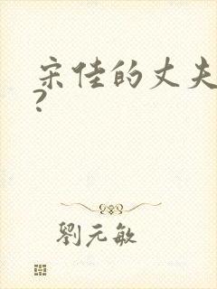 宋佳的丈夫是谁?