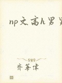 np文高h男男
