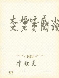 大婚晚成小说全文免费阅读