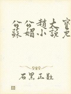 公公赵大宝儿媳苏媚小说免费阅读