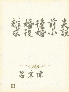 离婚后前夫哭着求复婚小说完整版大结局