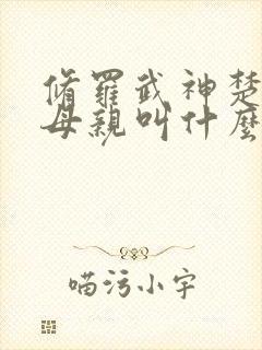 修罗武神楚枫的母亲叫什么