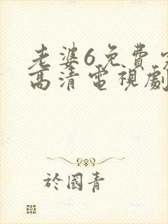 老婆6免费完整高清电视剧在线观看