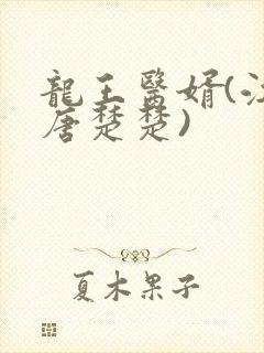 龙王医婿(江辰唐楚楚)