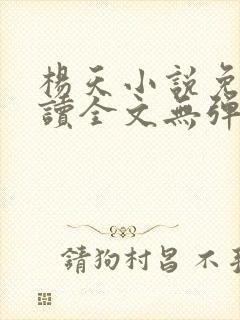 杨天小说免费阅读全文无弹窗