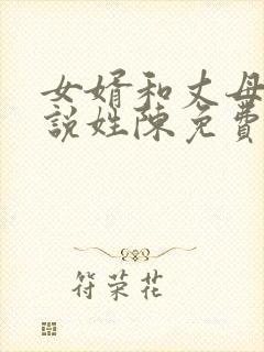 女婿和丈母娘小说姓陈免费阅读