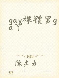 gay裸体男ga丫
