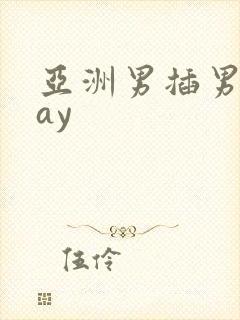 亚洲男插男同gay封面