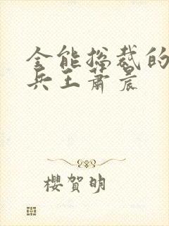 全能总裁的全能兵王萧晨