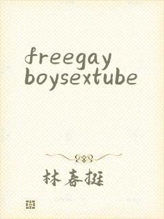 freegayboysextube
