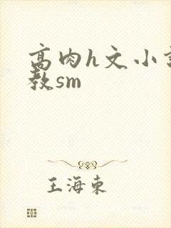 高肉h文小说调教sm封面