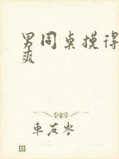 男同桌摸得我好爽封面