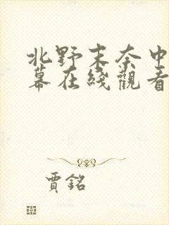 北野末奈中文字幕在线观看