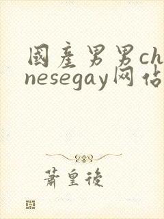 国产男男chinesegay网站封面