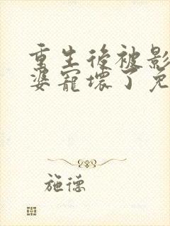 重生后被影后老婆宠坏了免费阅读封面