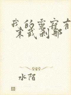 我的灵宠有分身 寒武刹那封面