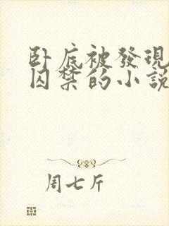 卧底被发现后 囚禁的小说