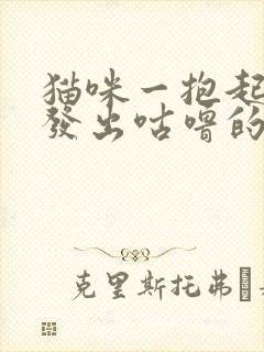 猫咪一抱起来就发出咕噜的声音封面