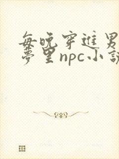 每晚穿进男神的梦里npc小说