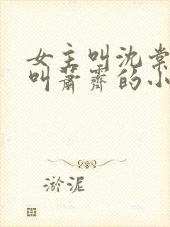 女主叫沈棠男主叫萧霁的小说封面