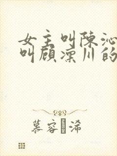 女主叫陈沁男主叫顾凛川的小说