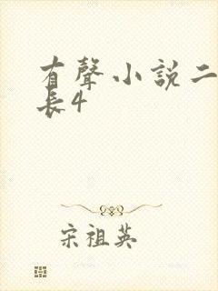 有声小说二号首长4