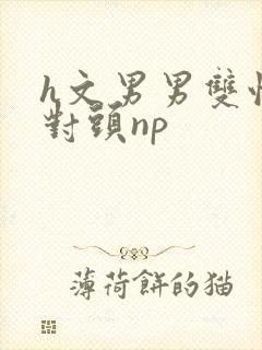 h文男男双性死对头np