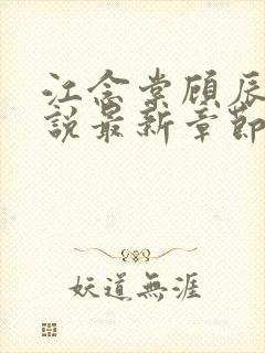 江念棠顾辰聿小说最新章节免费阅读