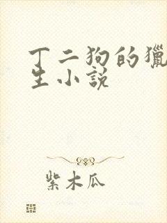 丁二狗的猎艳人生小说