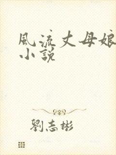 风流丈母娘自述小说