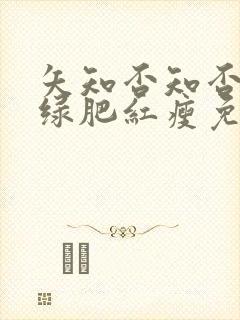 矢知否知否应是绿肥红瘦免费观看全集