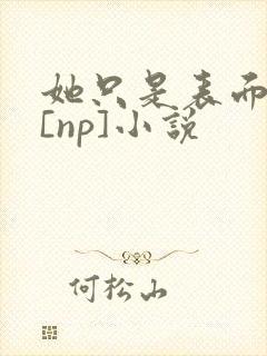 她只是表面清纯[np]小说