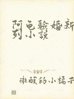 阿龟验婚新娘系列小说