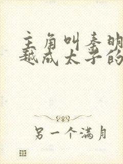 主角叫秦明的穿越成太子的小说