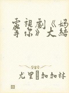 电视剧《妈妈在等你》大结局