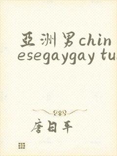 亚洲男chinesegaygay tube