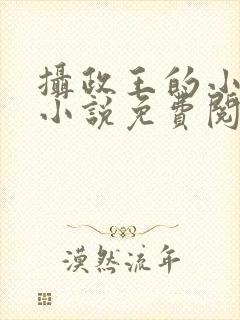 摄政王的小闲妻小说免费阅读