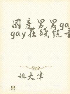 国产男男gaygay在线观看