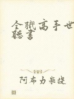 全职高手世锦赛听书封面