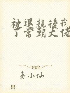 被退亲后我嫁给了当朝大佬