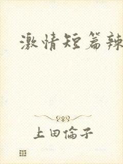 激情短篇辣文