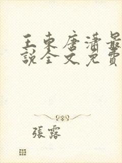 王东唐潇最新小说全文免费下载