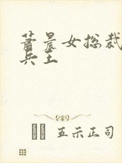 萧晨女总裁全能兵王