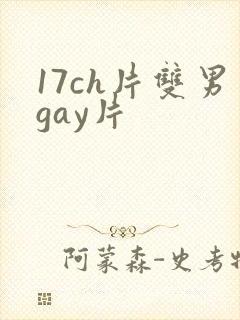 17ch片双男gay片