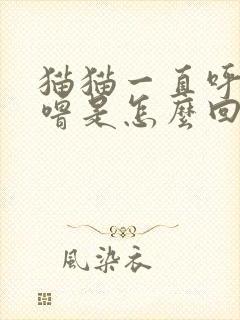 猫猫一直呼噜呼噜是怎么回事封面