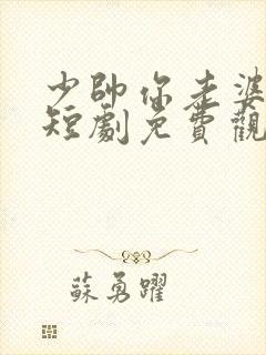 少帅你老婆又跑短剧免费观看在线播放封面