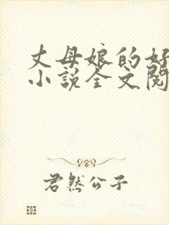 丈母娘的好女婿小说全文阅读