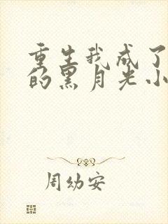 重生我成了权臣的黑月光小说封面