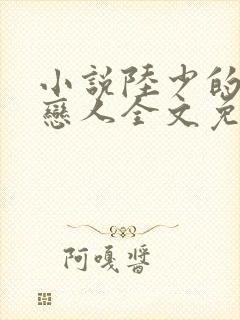 小说陆少的秘密恋人全文免费阅读