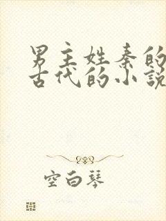 男主姓秦的穿越古代的小说封面